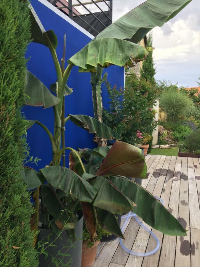 Apartmán Un Havre De Paix Courcelles-Sapicourt Exteriér fotografie